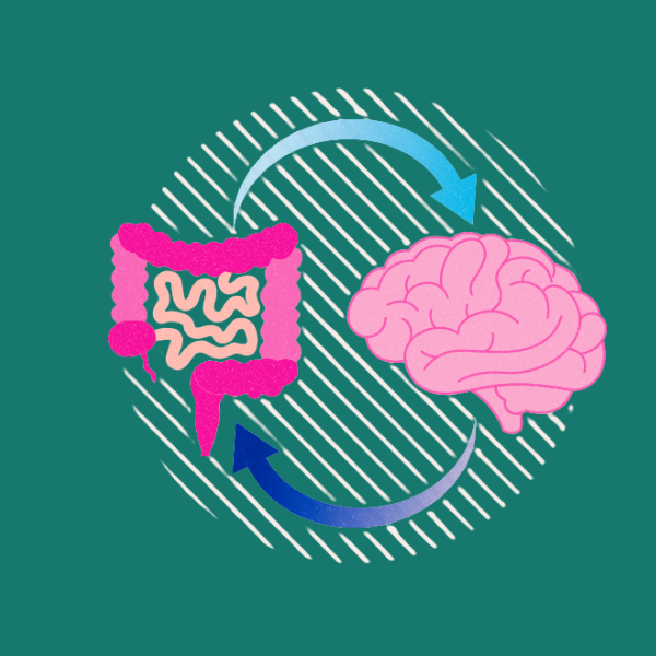 gut-brain axis